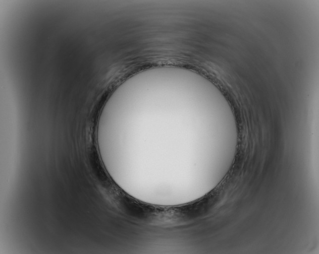 X0000088400695200705220822