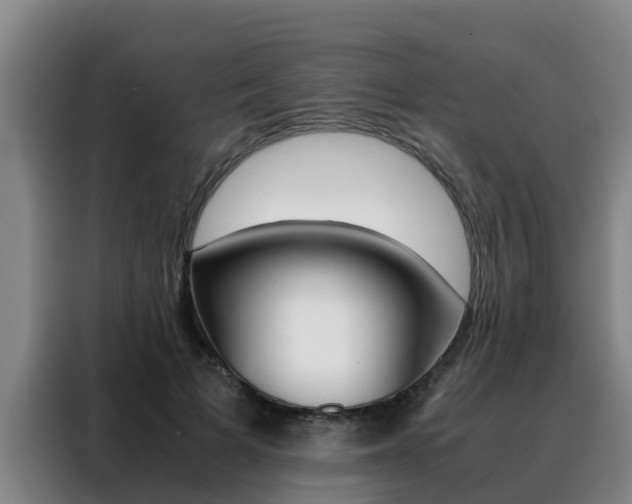 X0000088400697200705220822