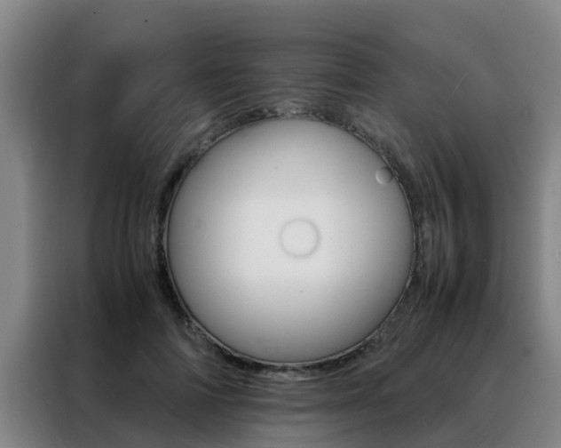 X0000088400698200705220822