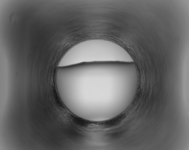 X0000088400699200705220822