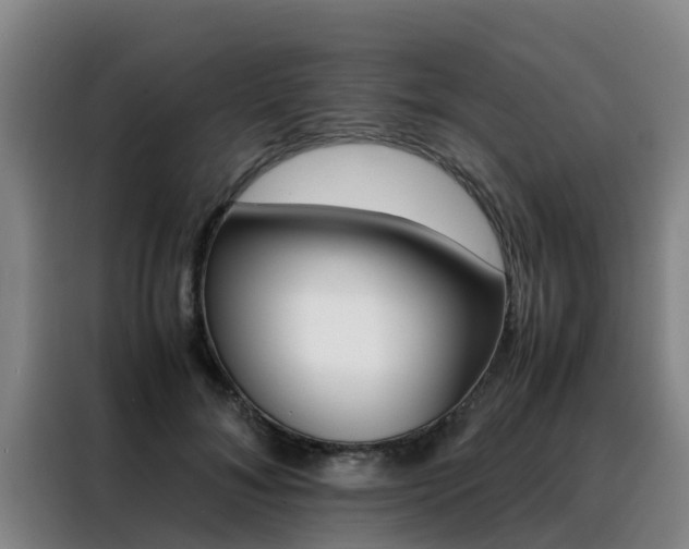 X0000088400700200705220821