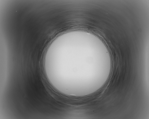 X0000088400701200705220821