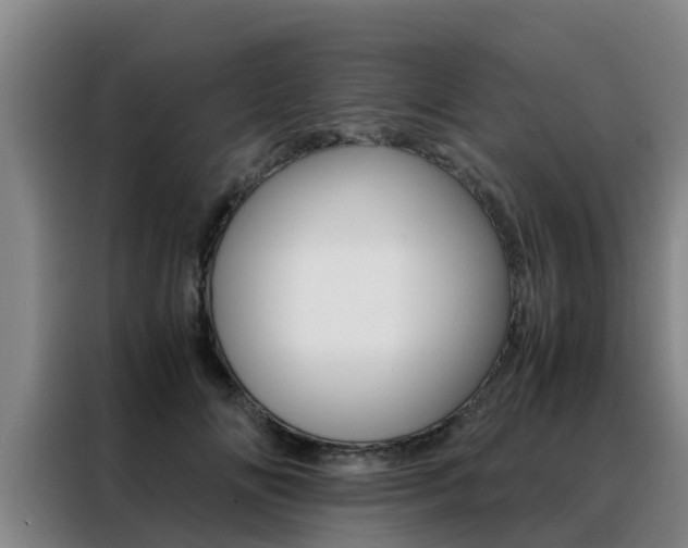 X0000088400702200705220821