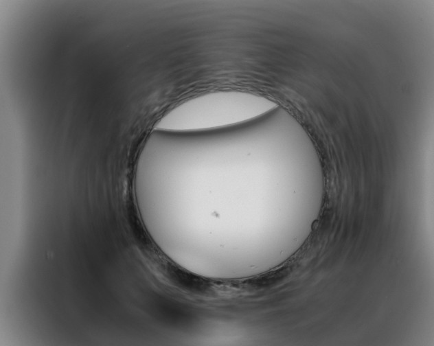 X0000088400703200705220821