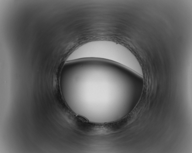 X0000088400704200705220821