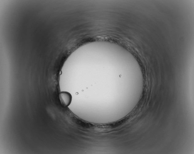 X0000088400707200705220821