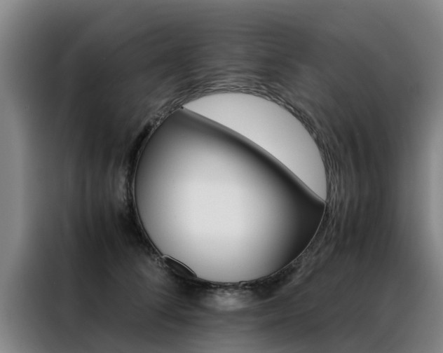 X0000088400708200705220821