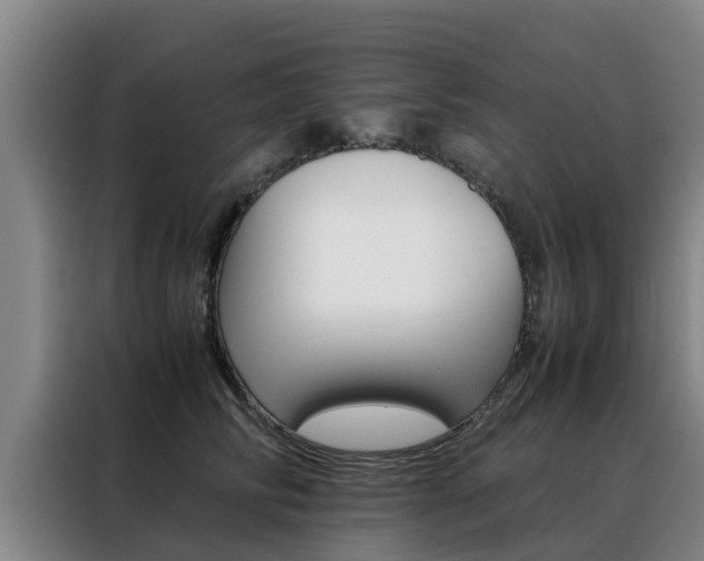 X0000088400710200705220821