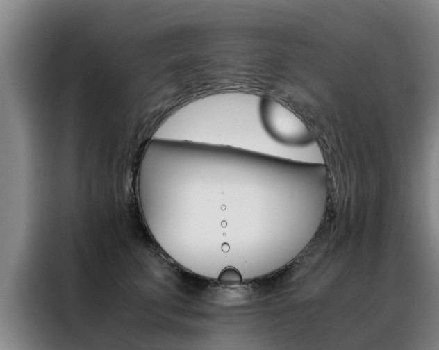 X0000088400711200705220821