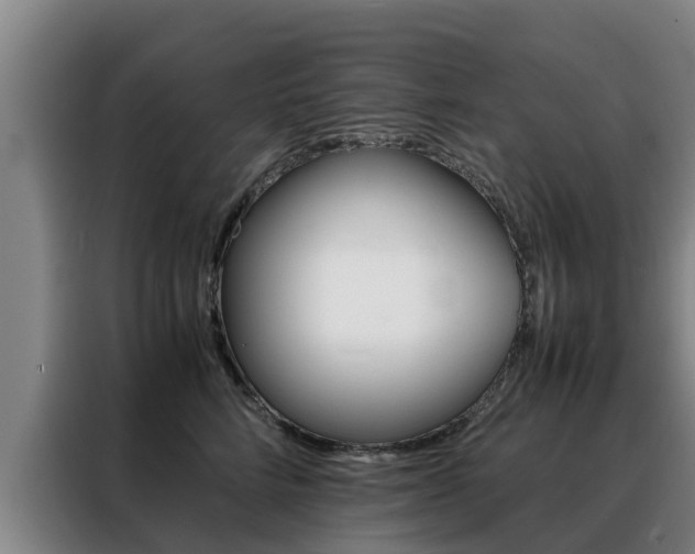 X0000088400712200705220821