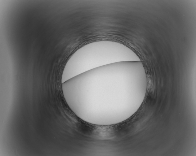 X0000088400713200705220821