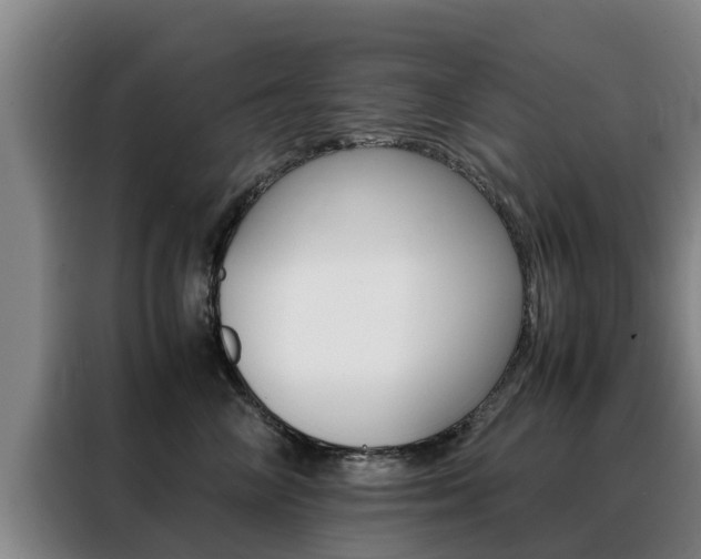 X0000088400714200705220821