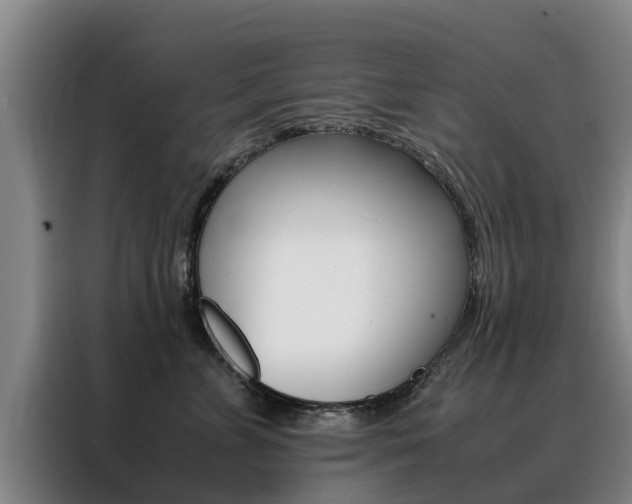 X0000088400715200705220821