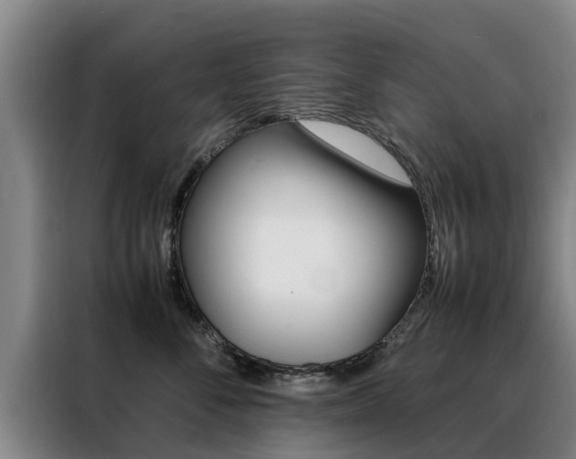 X0000088400716200705220821