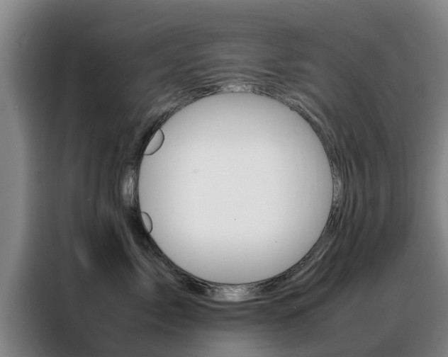 X0000088400717200705220821