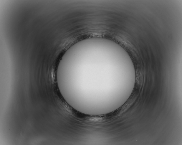 X0000088400718200705220821