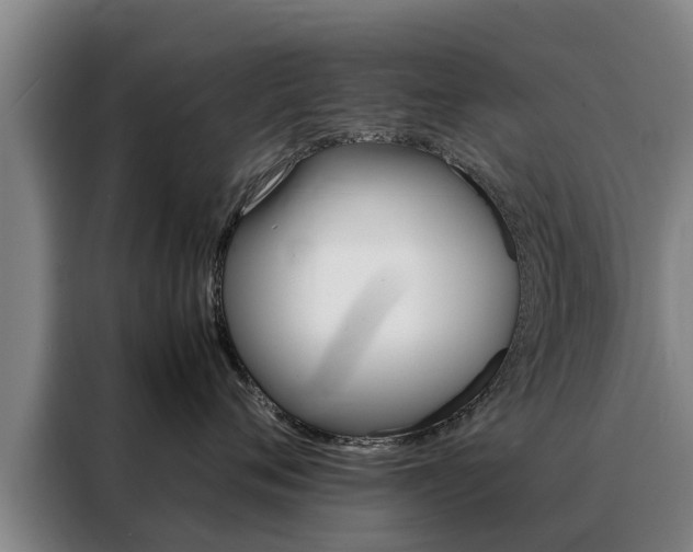 X0000088400720200705220821