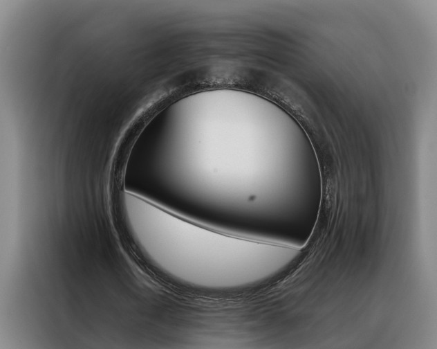 X0000088400722200705220821