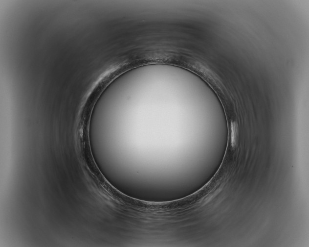 X0000088400723200705220821