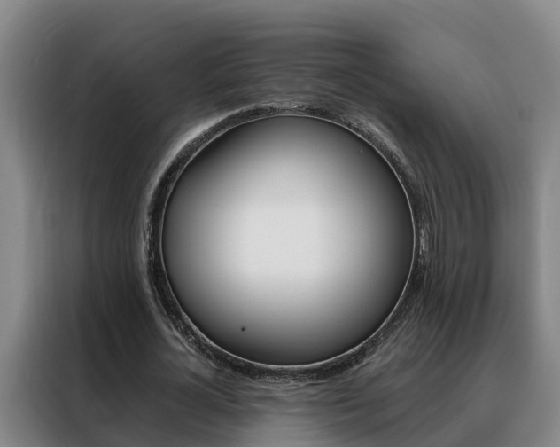 X0000088400724200705220821