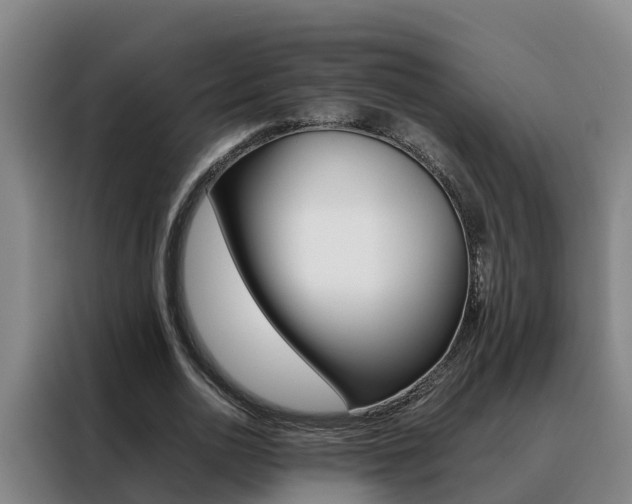 X0000088400726200705220821