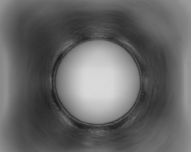 X0000088400729200705220821