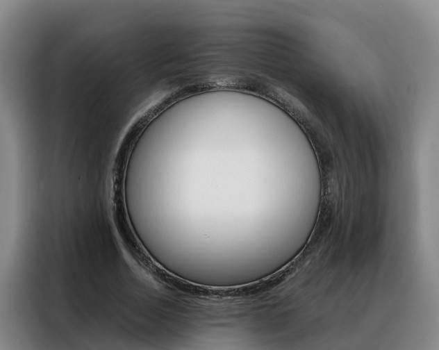 X0000088400730200705220821