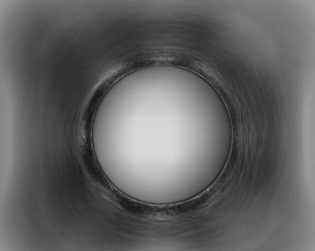 X0000088400731200705220821