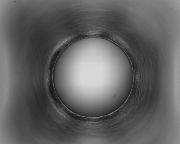 X0000088400732200705220821