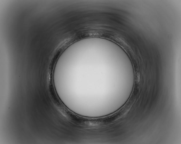 X0000088400733200705220821