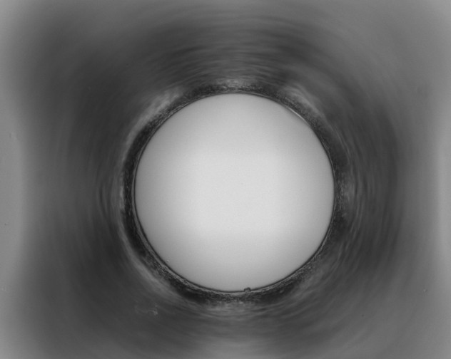 X0000088400734200705220821