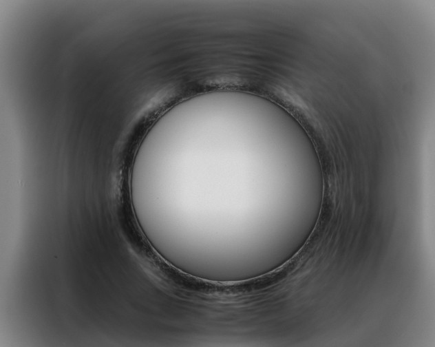 X0000088400735200705220821