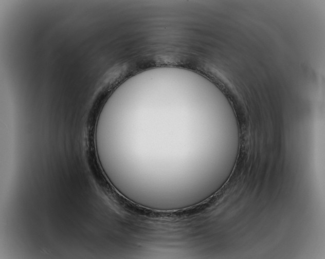X0000088400738200705220821