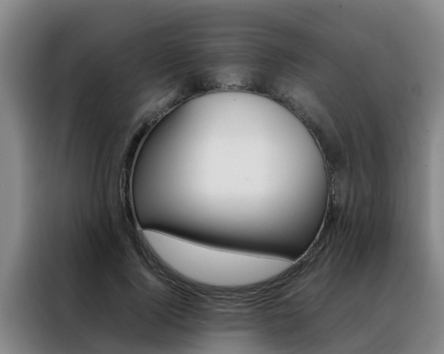 X0000088400740200705220821
