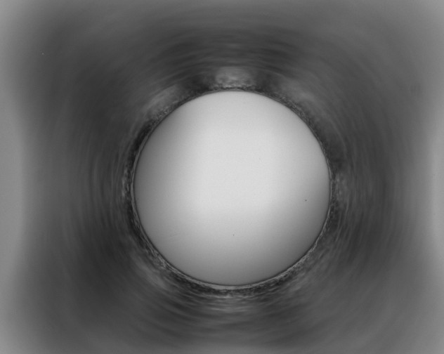 X0000088400741200705220821