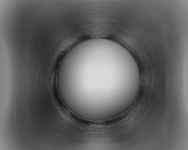 X0000088400742200705220821