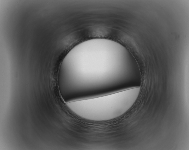 X0000088400743200705220821