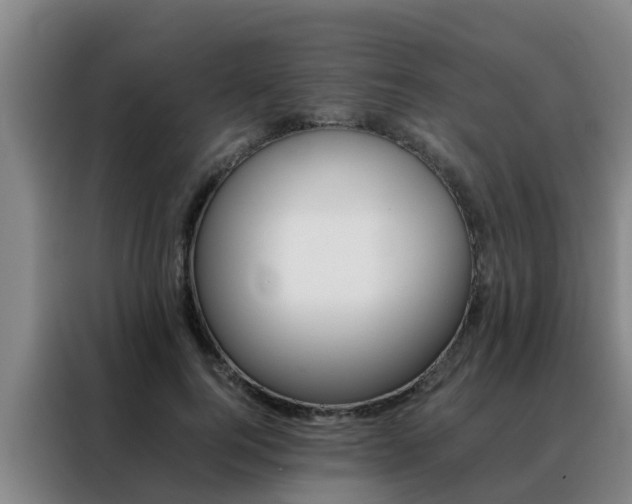 X0000088400744200705220821