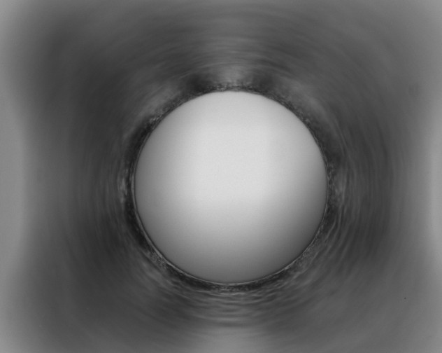 X0000088400746200705220821