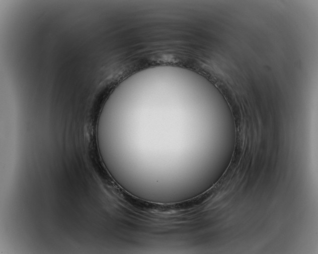X0000088400747200705220821
