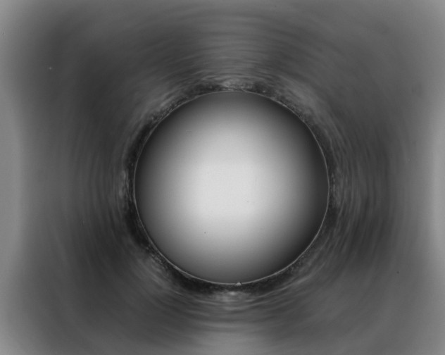 X0000088400748200705220821