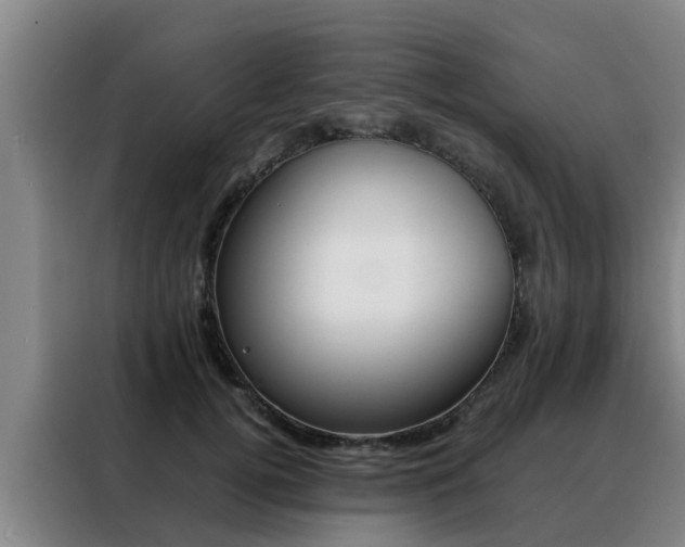 X0000088400752200705220821