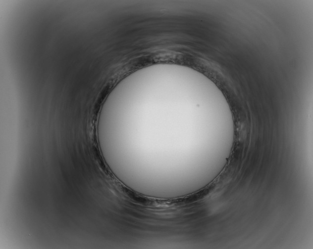 X0000088400753200705220821