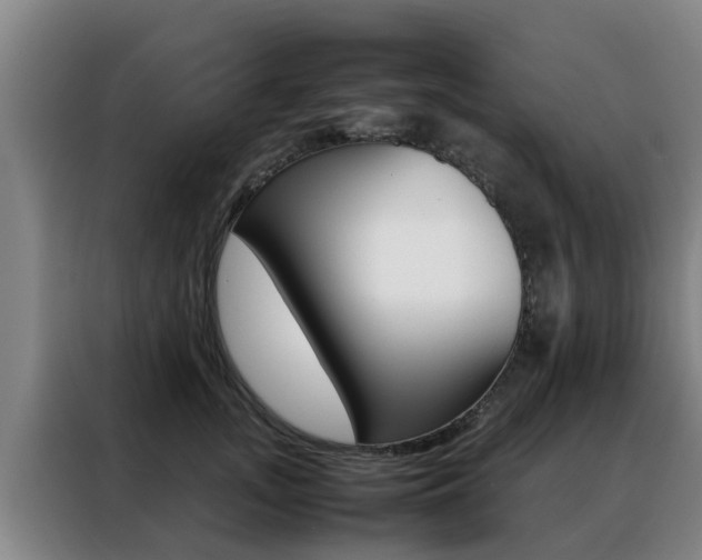 X0000088400755200705220821
