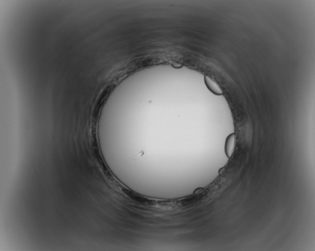 X0000088400757200705220821