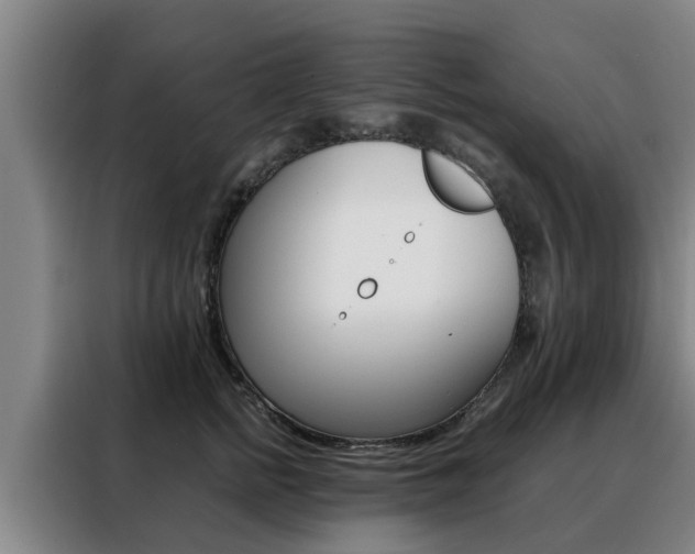 X0000088400758200705220821