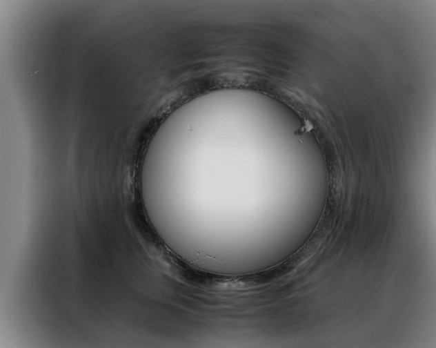 X0000088400759200705220821