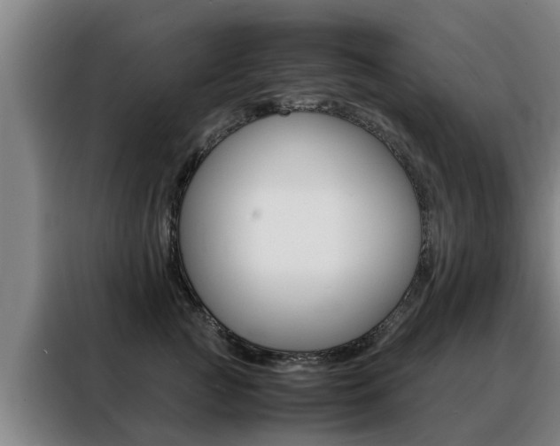 X0000088400761200705220821
