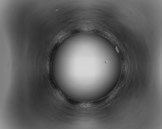 X0000088400762200705220821