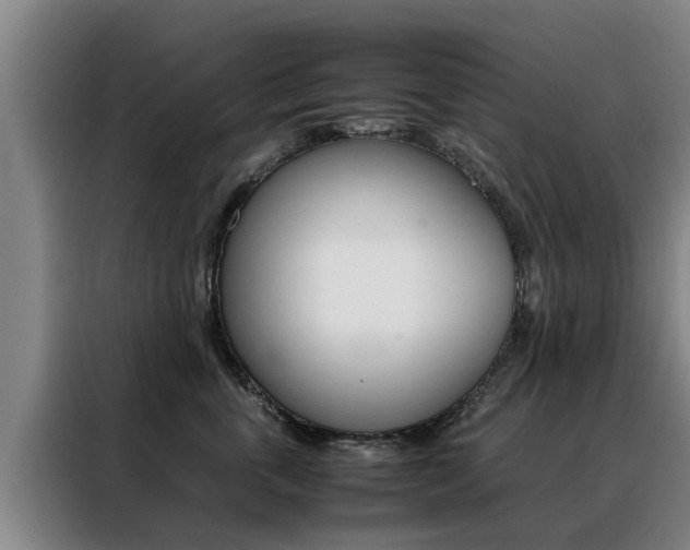 X0000088400763200705220821